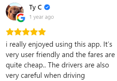 Google customer review 9 of 45